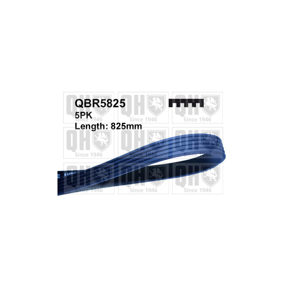 Image for QH Drive Belt