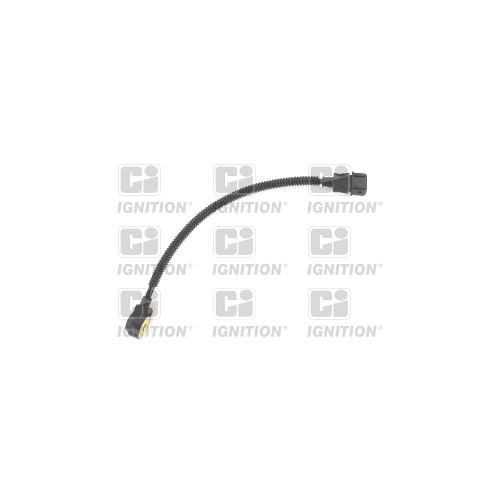 Image for CI Knock Sensor