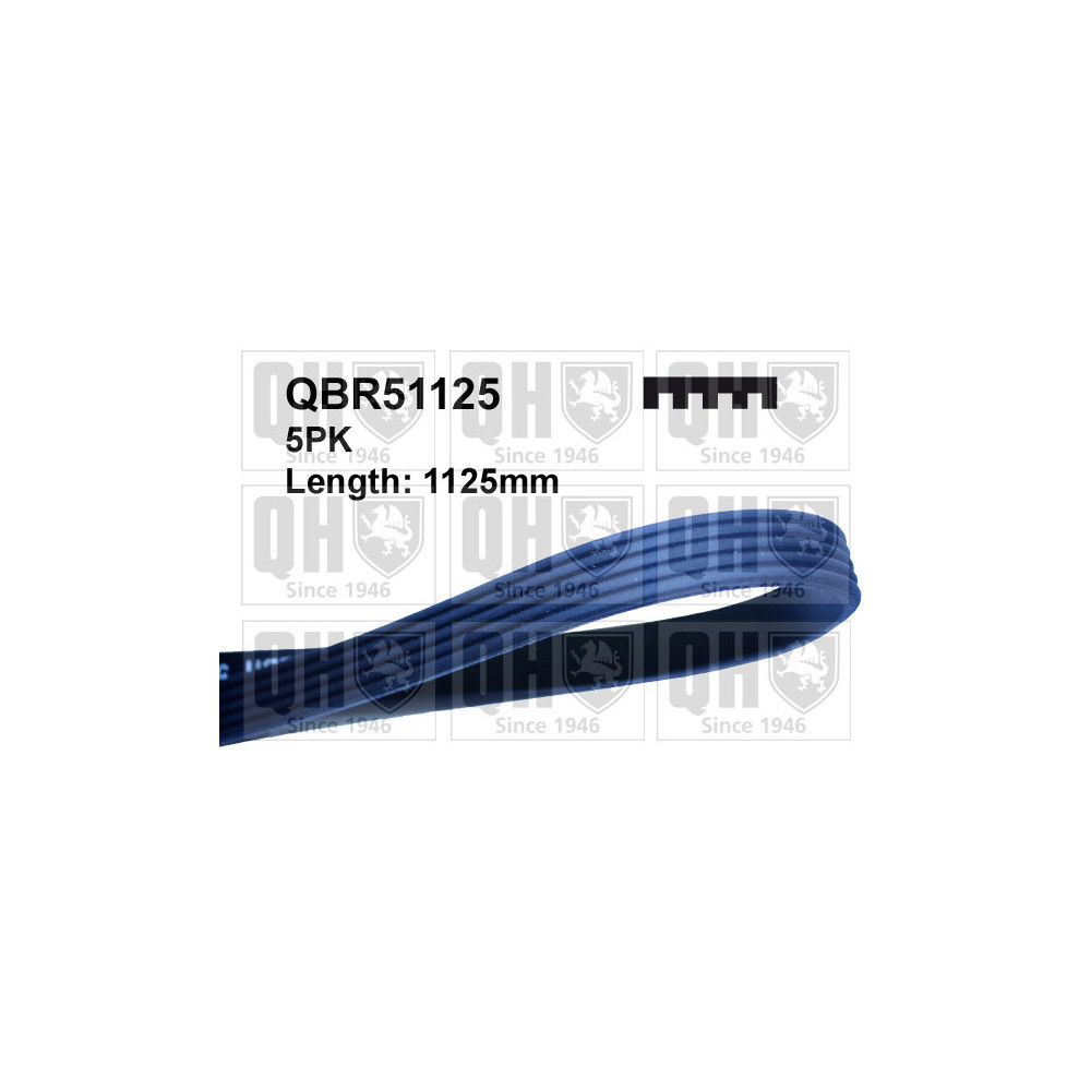 Image for QH Drive Belt