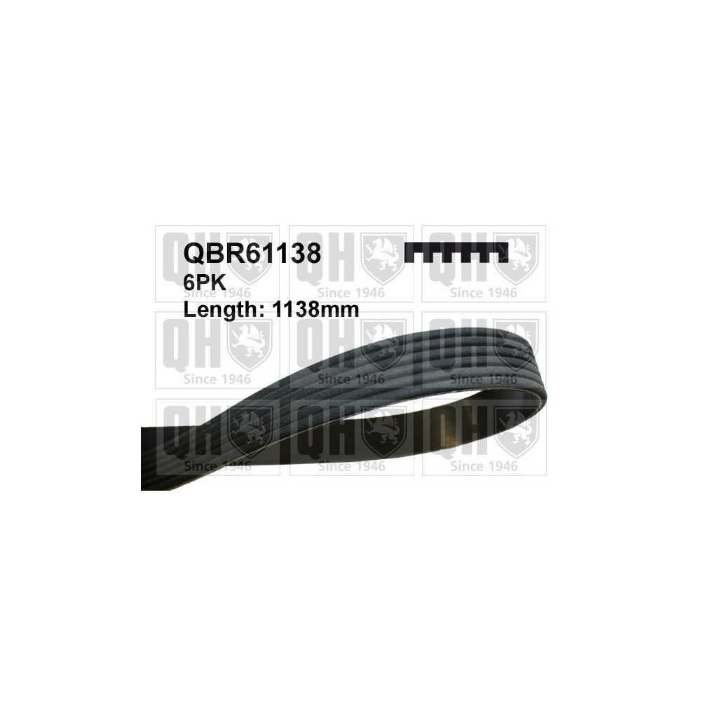 Image for QH Drive Belt