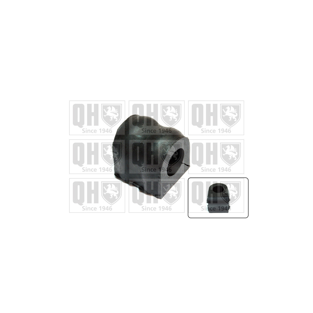 Image for QH Stabiliser Bar Bush - Front Lh & Rh (Outer)