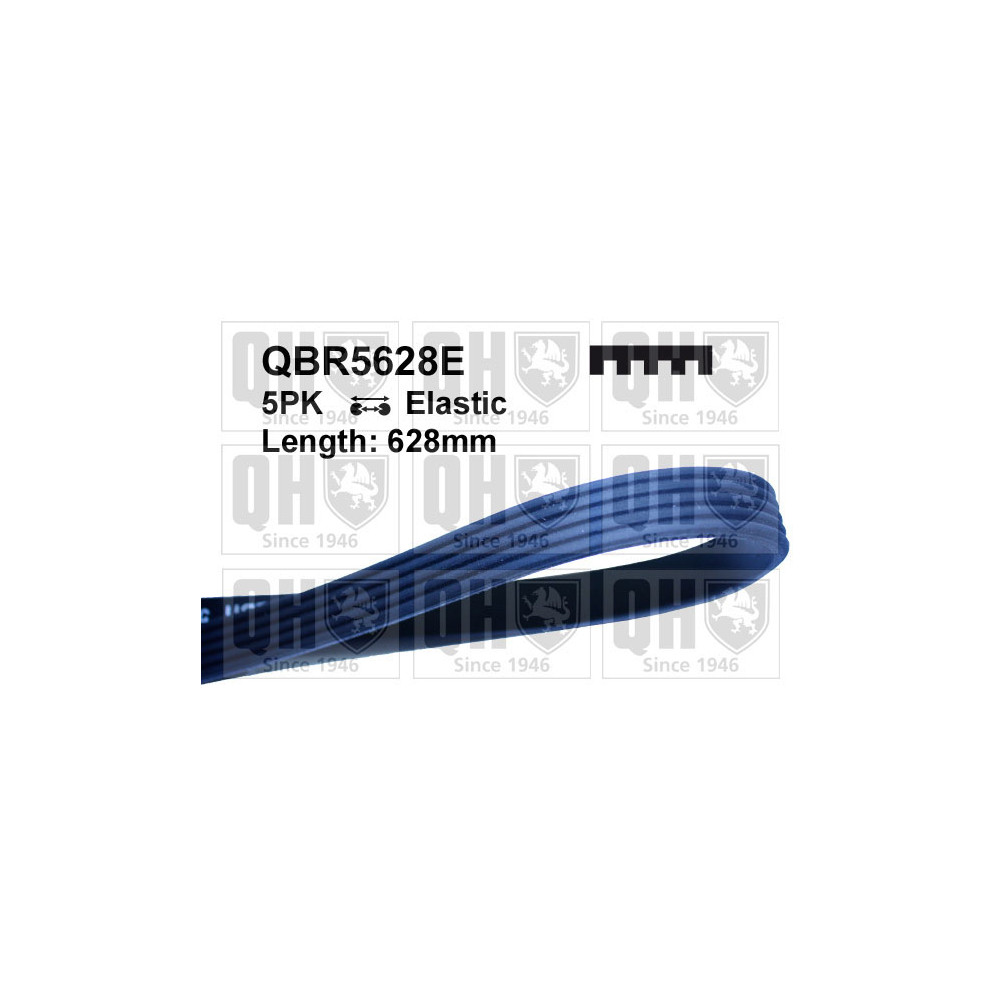 Image for QH Drive Belt